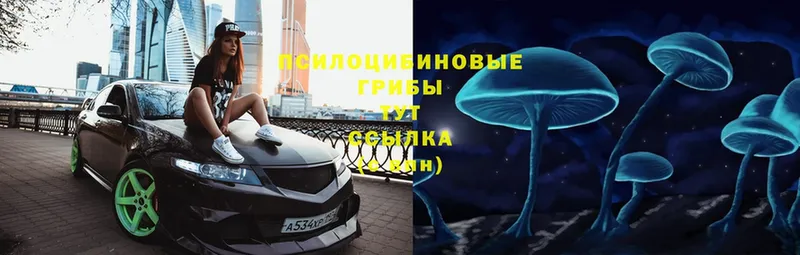 Псилоцибиновые грибы Cubensis  Армянск 